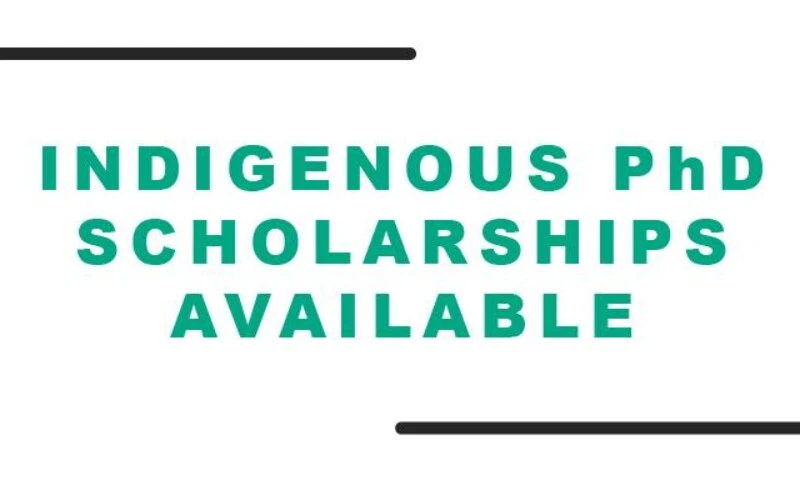 Punjab HEC Indigenous PhD Scholarship
