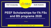 PEEF announces Inter and BS Scholarship for Sindh