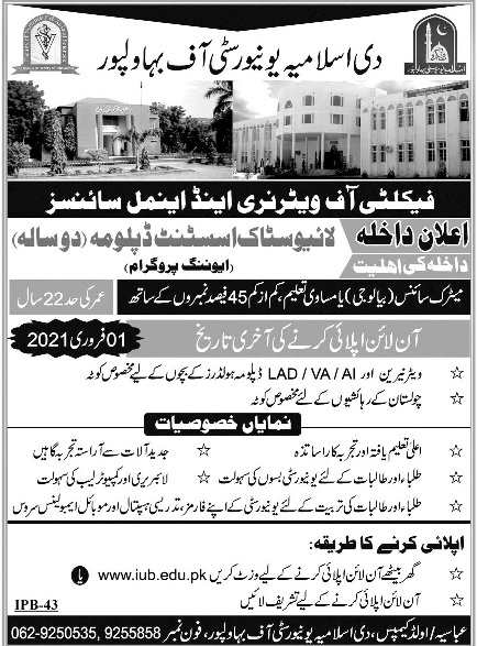 admission announcement of The Islamia University Of Bahawalpur