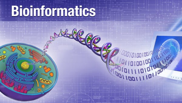 Bioinformatics