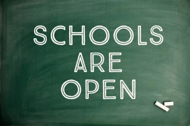 Govt allowed opening of schools