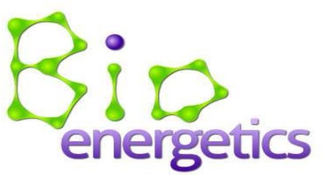What is Bioenergetics