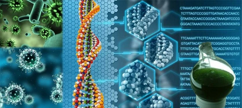 The Future of Biological Sciences: Emerging Degree Programs