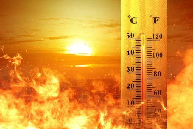 Summer vacations from June 15 suggested