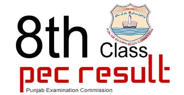 PEC class 8 result 2020