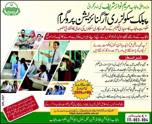 Public Schools Reorganization Program: Govt to Privatize 30 Thousand Schools