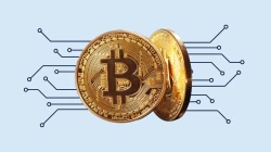 HEC to Launch Crypto and Blockchain Courses in Pakistan