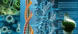 The Future of Biological Sciences: Emerging Degree Programs