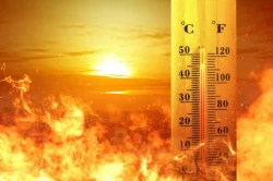 Summer vacations from June 15 suggested