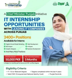 CM Punjab IT Internship Program 2026
