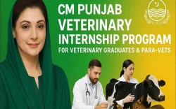 Punjab Govt Announces Veterinary Internship Program 2026 with Monthly Stipend