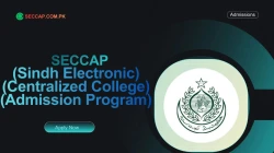 Sindh College Admissions 2026: Online Applications Open Through SECCAP