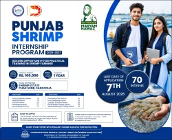 Punjab Launches Paid Shrimp Internship Program with Rs. 100000 Monthly Stipend