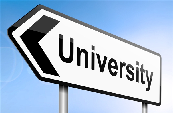 Government to set up universities in every district and to provide Career Counseling