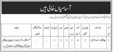 Cmh-jobs-16-8-26.jpg
