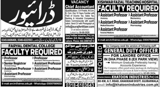 Multiple-jobs-23-8-26.jpg