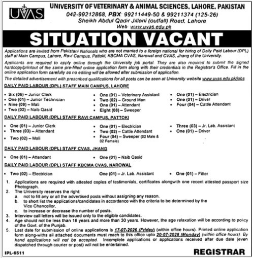 Uvas-jobs-28-6-26.jpg