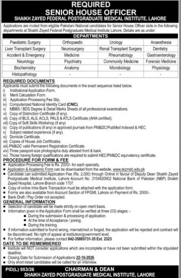 Zayed-jobs-11-10-26.jpg
