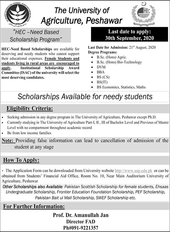 Hec Need Based Scholarship Program For Undergraduate