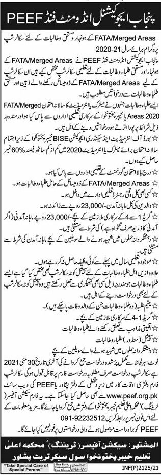 Peef Scholarship For Fata