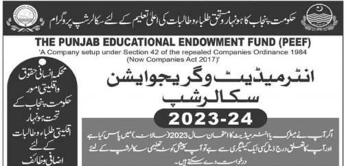 PEEF Special Quota Inter and BS Scholarship