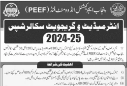 peef-scholarships-for-ajk-students