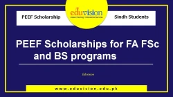 peef-announces-sindh-scholarship