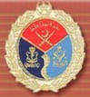 Armed Forces Postgraduate Medical Institute